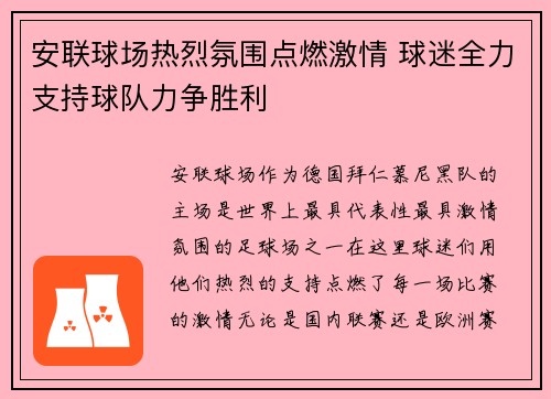 安联球场热烈氛围点燃激情 球迷全力支持球队力争胜利