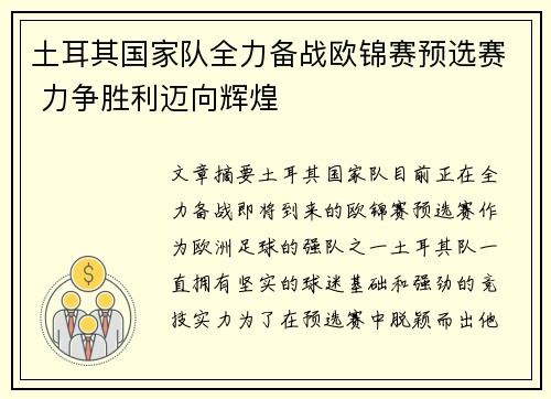 土耳其国家队全力备战欧锦赛预选赛 力争胜利迈向辉煌