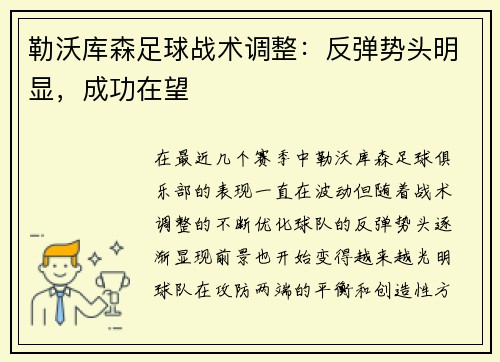 勒沃库森足球战术调整：反弹势头明显，成功在望