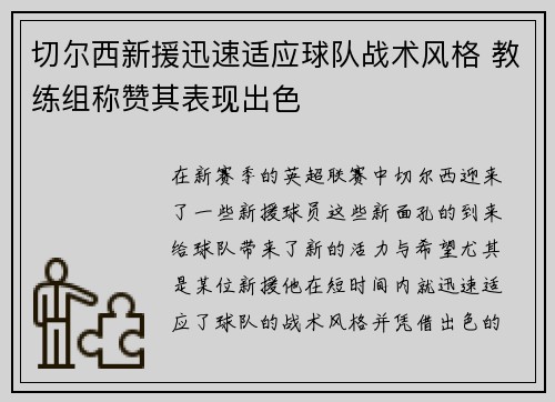 切尔西新援迅速适应球队战术风格 教练组称赞其表现出色